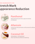 Belly Cream for Elasticity & Stretch Mark Care
